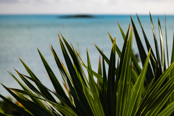 turks and caicos villas-26